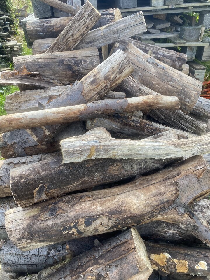 IMG_3065.jpeg - serialowapara19782