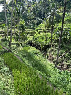 1F85334E-0882-4E05-890C-63840B37806A.jpeg