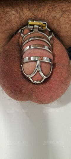 Locktober, dzień 8. Jaja robią sie wyraźnie niebieskie ;)