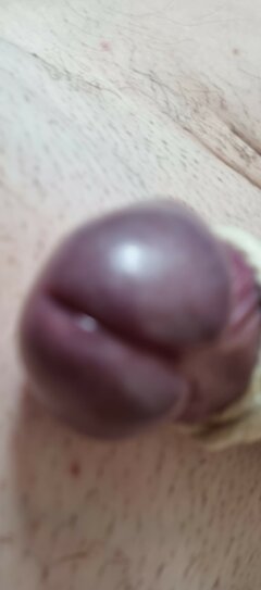 20231008_160715.jpg