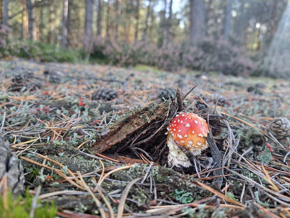 20231008_144122.jpg - malgos1972