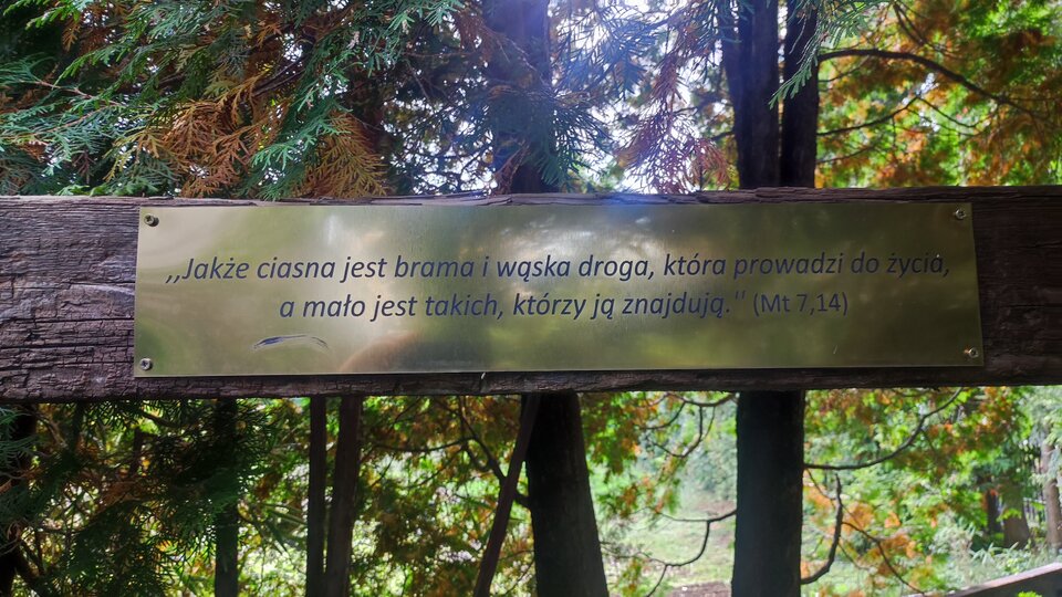 1000031491.jpg - Luna_Piotr