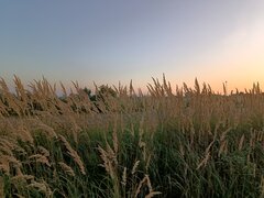 IMG_20230910_184712637_HDR.jpg