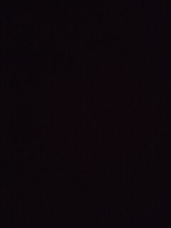 IMG20231010155335.jpg