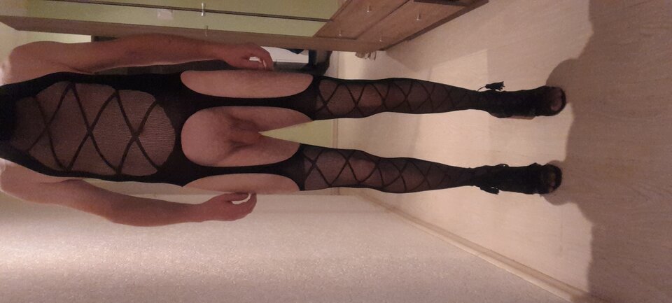 20231010_183230.jpg - Tygrys4040