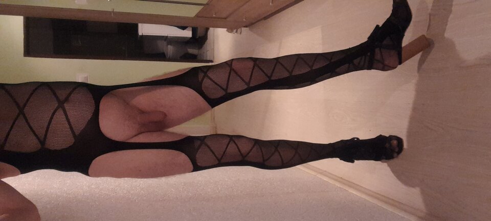 20231010_183341.jpg - Tygrys4040