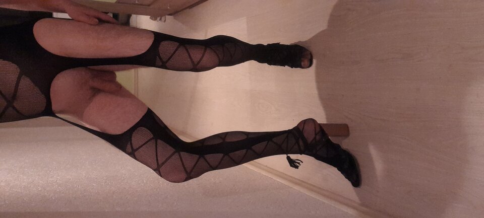 20231010_183315.jpg - Tygrys4040