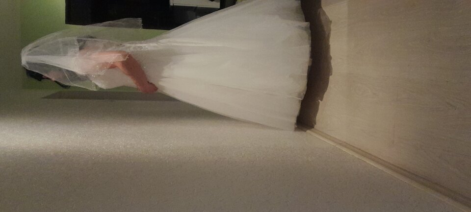 20231010_181826.jpg - Tygrys4040