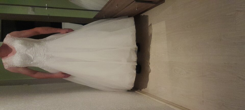 20231010_181157.jpg - Tygrys4040