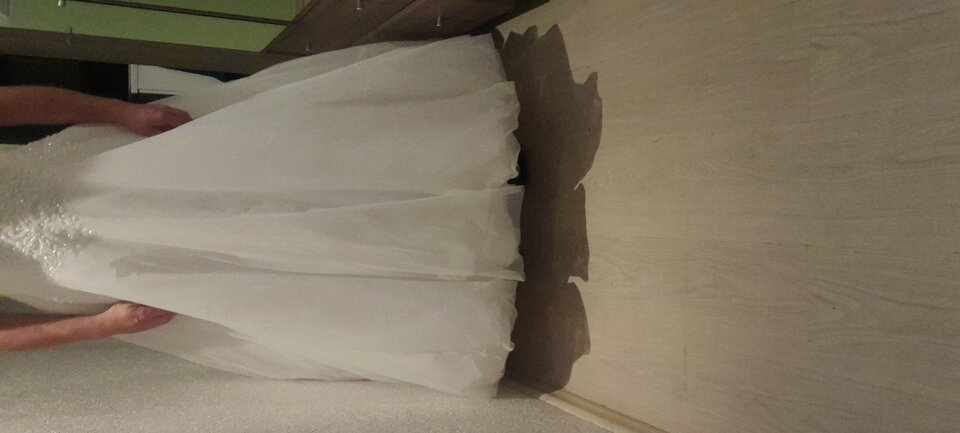 20231010_181131.jpg - Tygrys4040