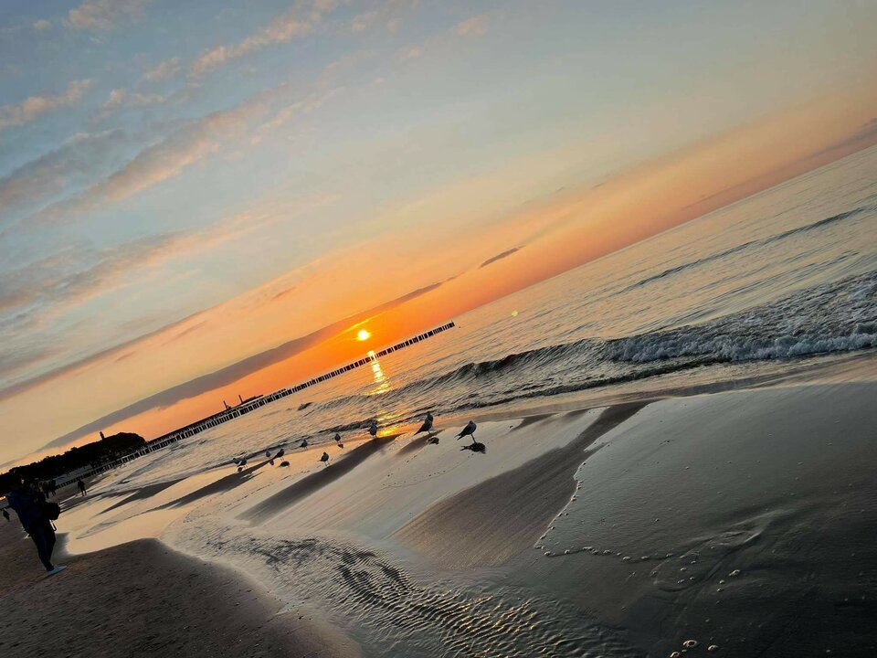 received_390867219367977.jpeg - apsamotny