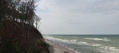IMG_20231011_111855.jpg