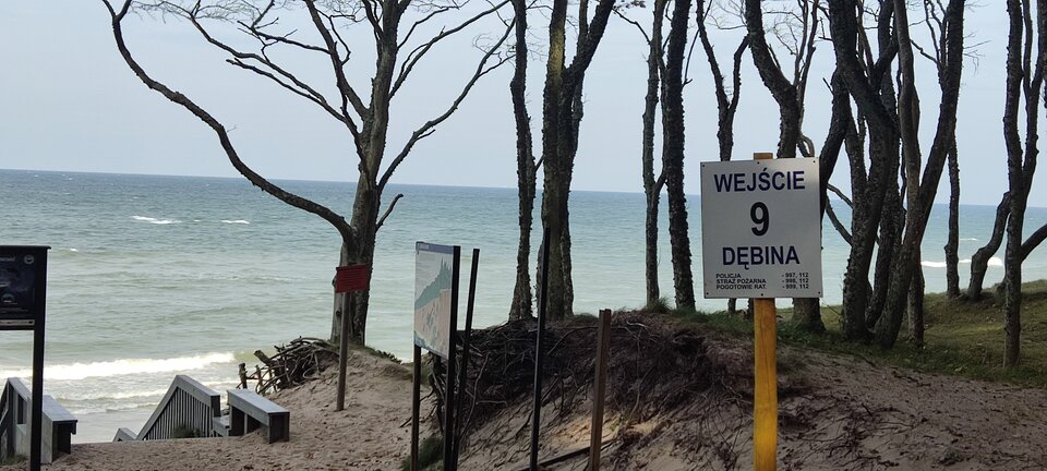 IMG_20231011_112100.jpg - edytkaandrzej