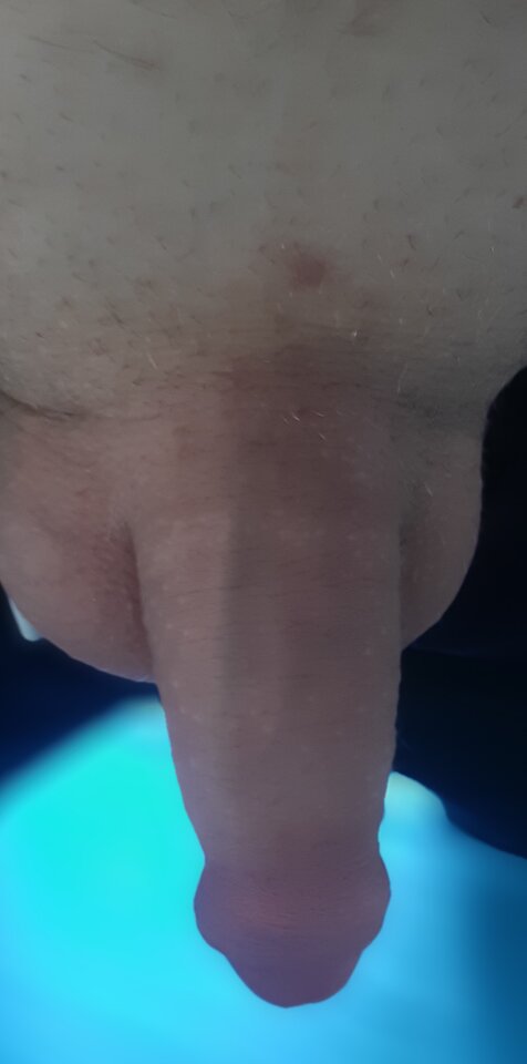 20231011_135505.jpg - wariat1997