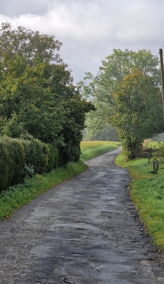 IMG_20231011_175830.jpg - Nicci