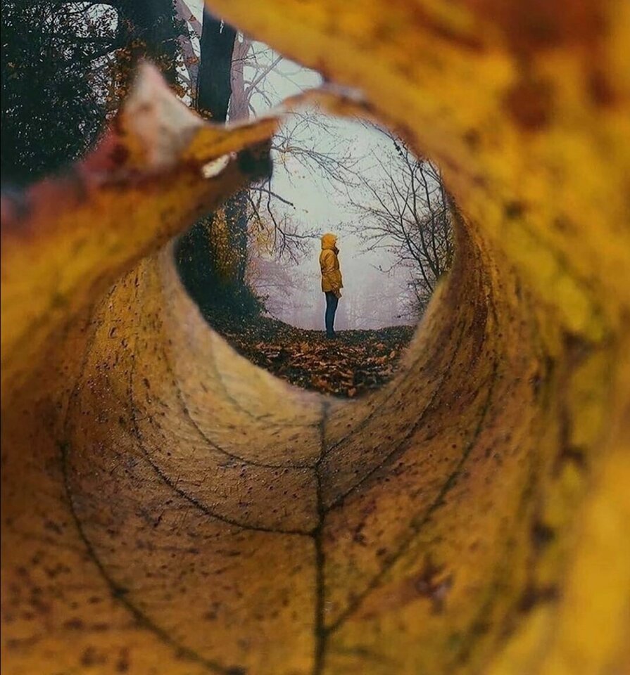 IMG_20231009_083653.jpg - Nicci