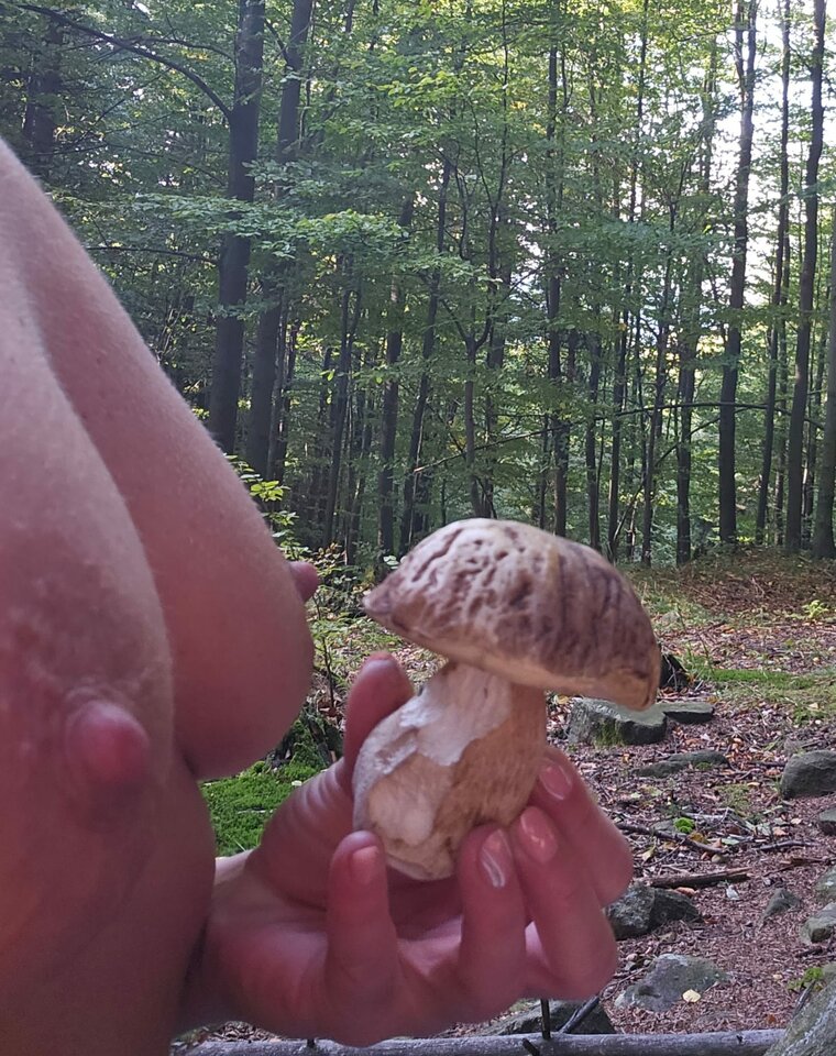 IMG-20231012-WA0004.jpg - Jeszczeniewiemyczegochcemy