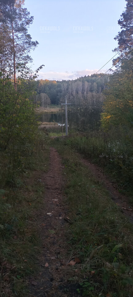 20231012_171843_HDR.jpg - ciekawiols