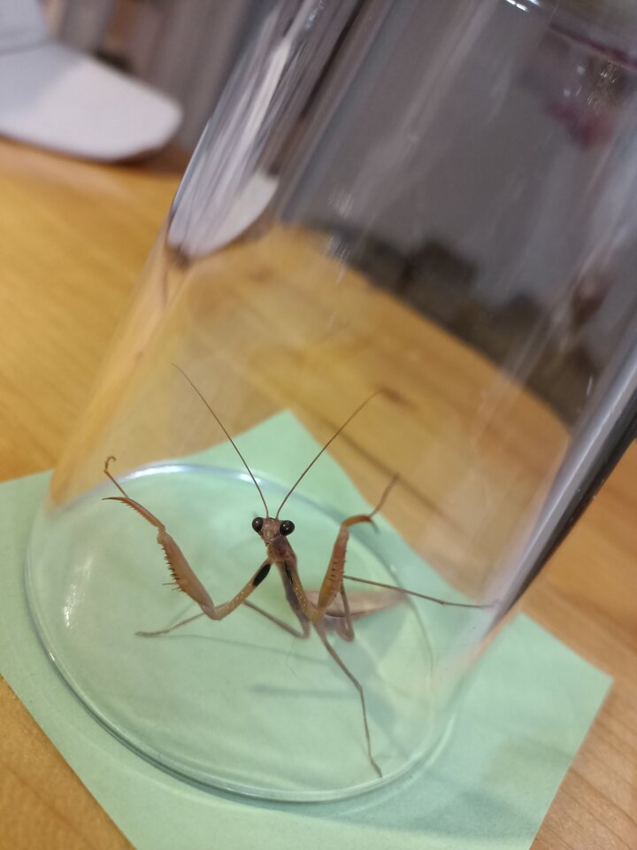 IMG20231012200724.jpg - hypns