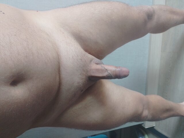 para44wlkp