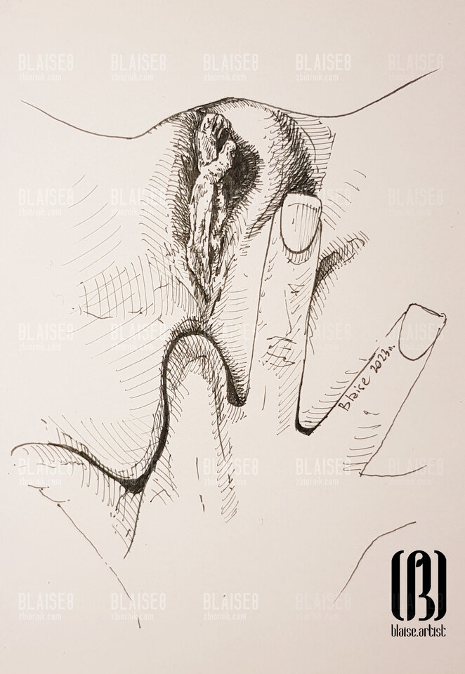 Art. No. 245 - blaise8