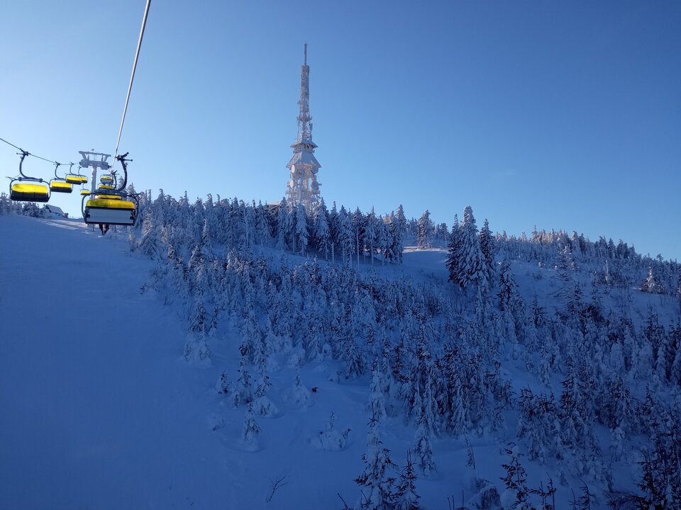 IMG_20230210_084149.jpg - Kub11