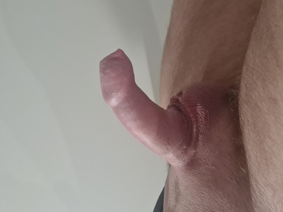 1000000570.jpg - skowronki4033