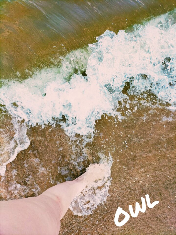 🌅🏖️.jpg - OwlsSoul