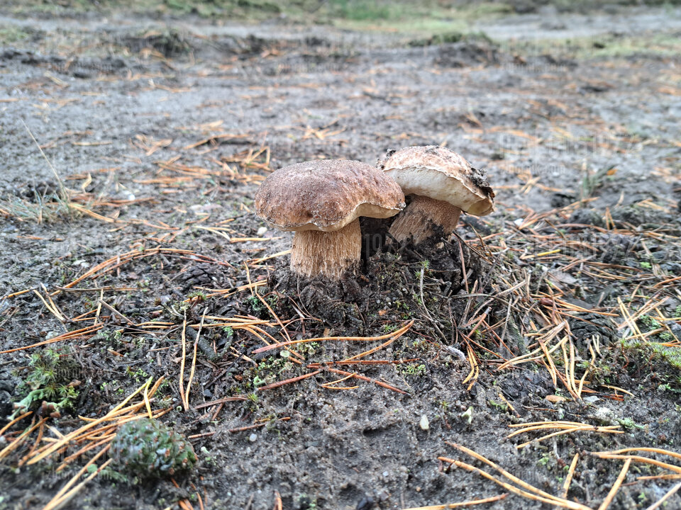 20231011_075945.jpg - malgos1972