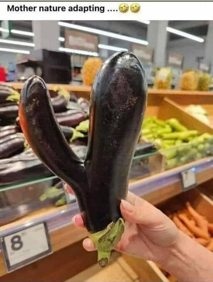 386318788_721464126678605_5335888685068026643_n.jpg - shrek707