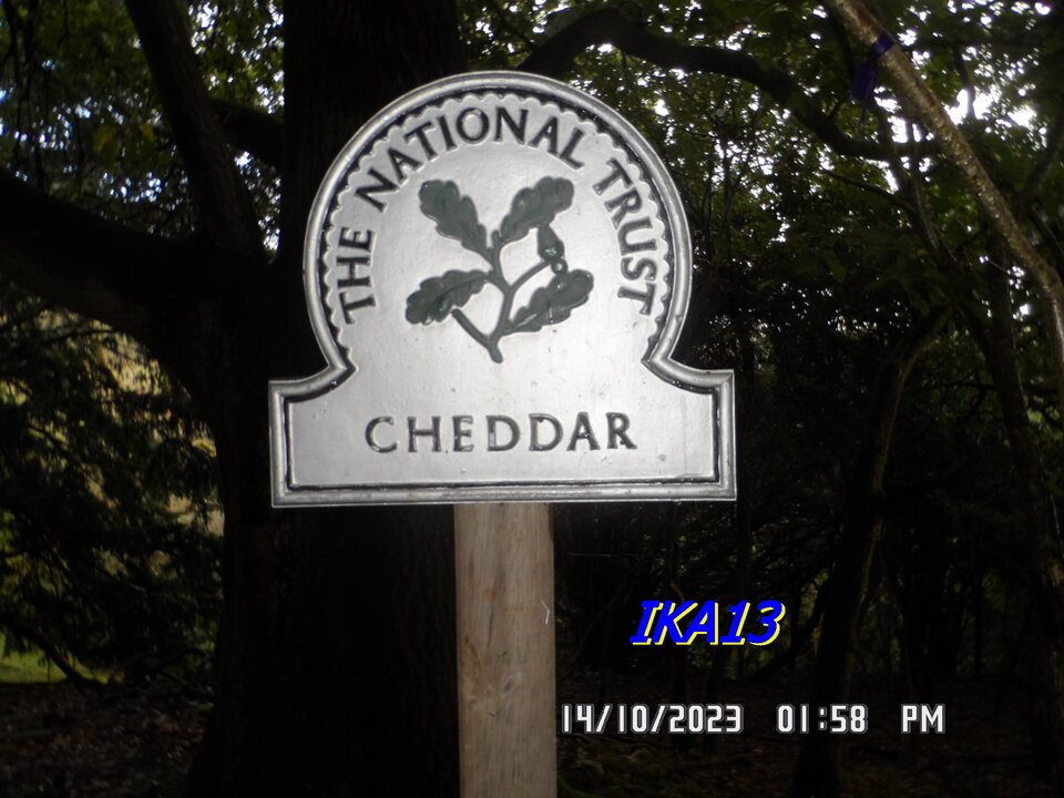 SAM_1727.JPG - ika13