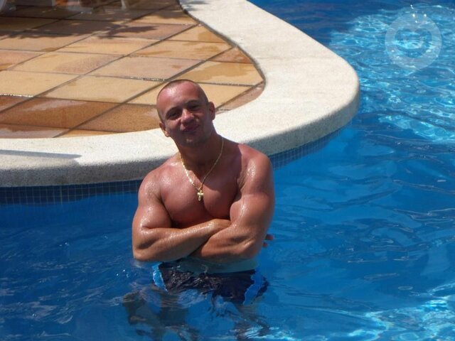 Pinie