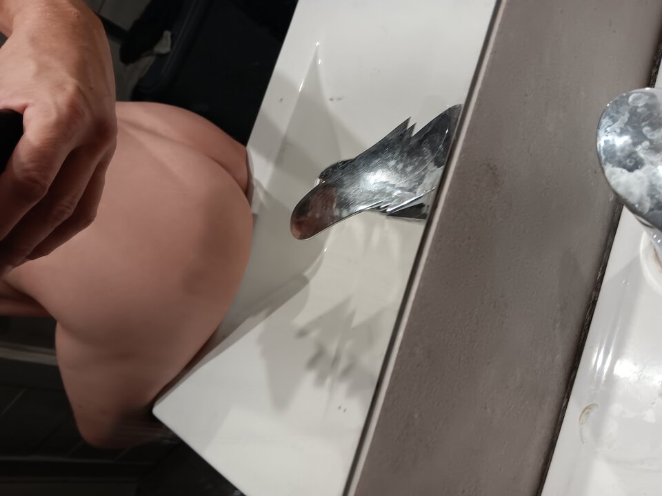 20231015_125335.jpg - on366