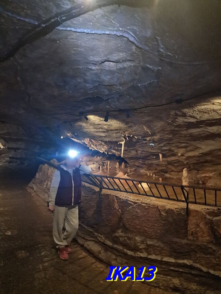 20231015_112027.jpg - ika13