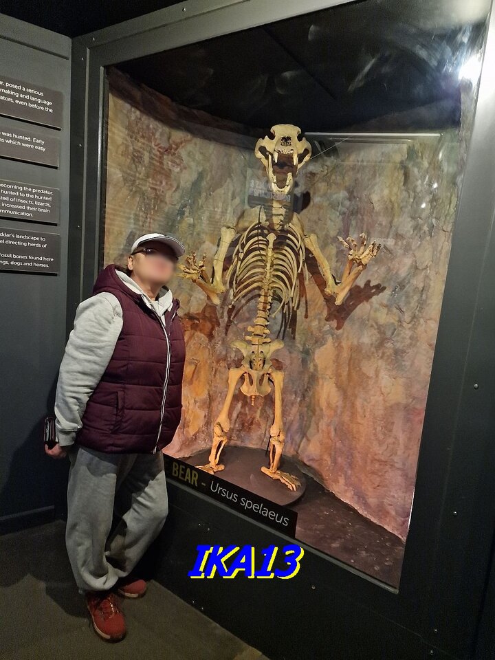 20231015_115713.jpg - ika13