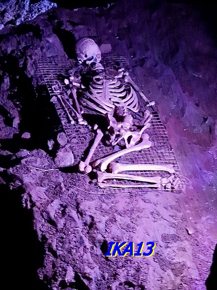 20231015_110943.jpg - ika13