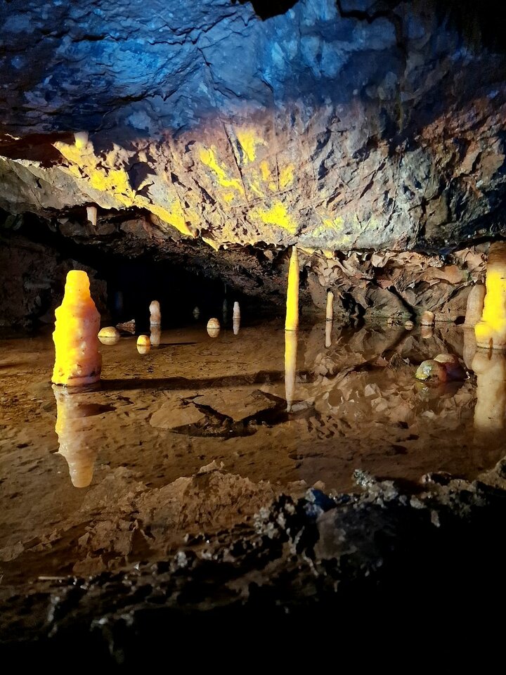 20231015_112657.jpg - ika13