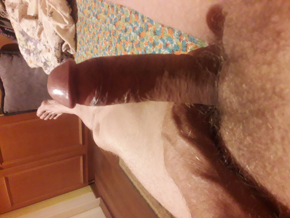 20231015_050711.jpg - brus13