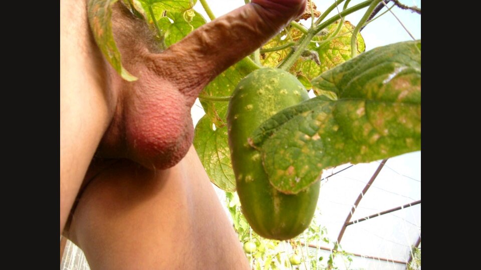 attach (5).jpeg - Fiutkutaschujjaja