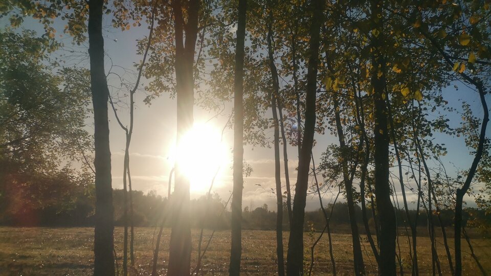 IMG-20231015-WA0002.jpeg - LESNYludek2023