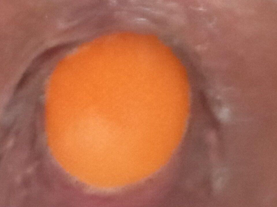 IMG_20231017_085721.jpg - ZYGMUNDT