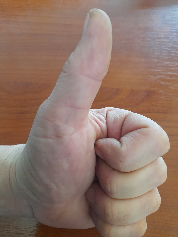 1697533801115351353535356365386.jpg - Enzo133