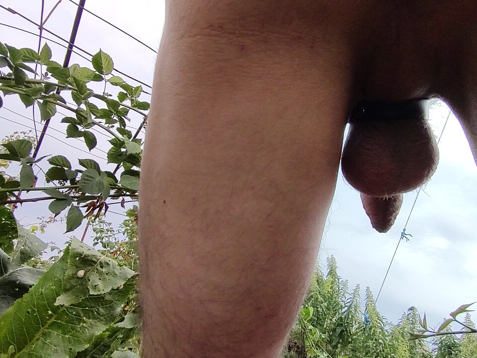 Pisać - Fiutkutaschujjaja