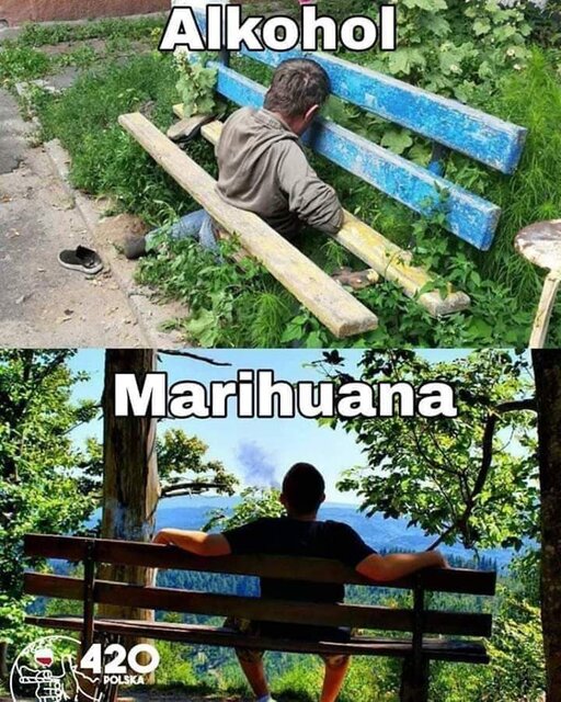 marihuana.jpg - tomek3576