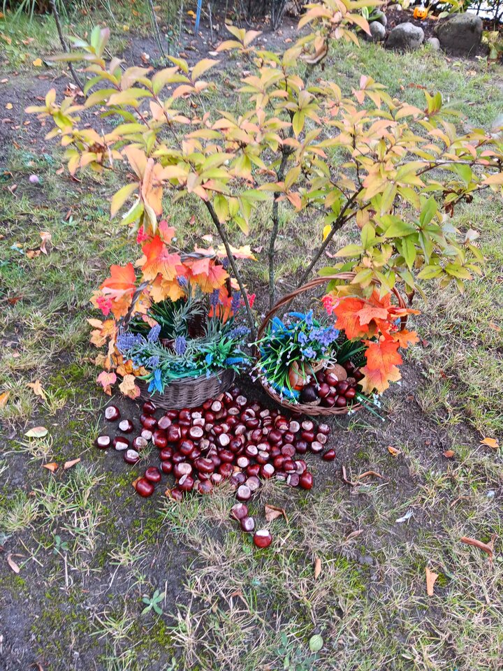 20231017_130914.jpg - WESOLAWDOWKA