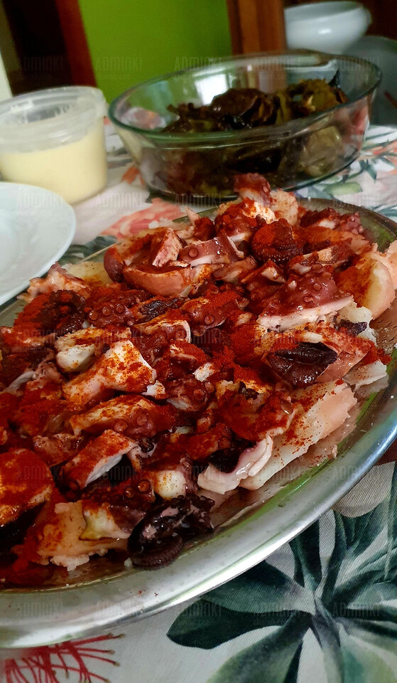 🐙🐙❤️❤️ - Adminki