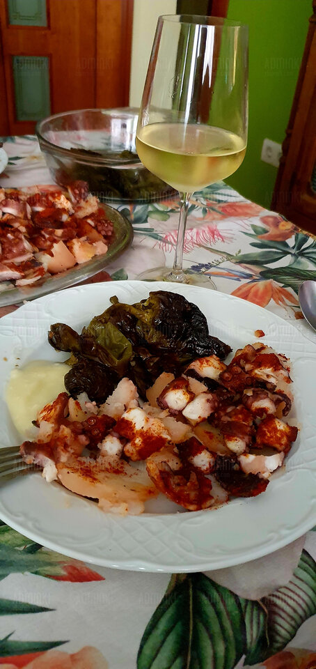 🐙🐙❤️❤️ - Adminki