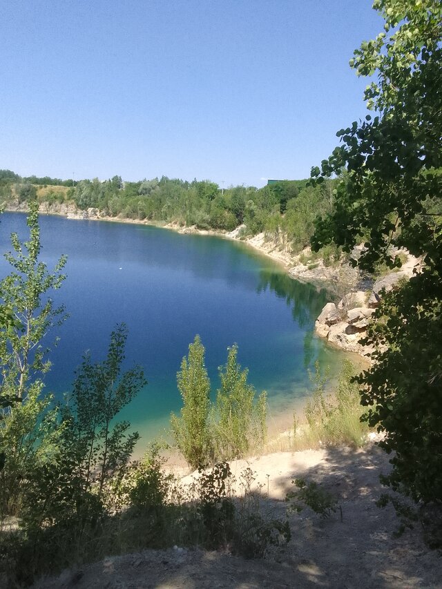 Daminetek38