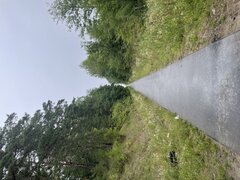 IMG_0958.jpeg
