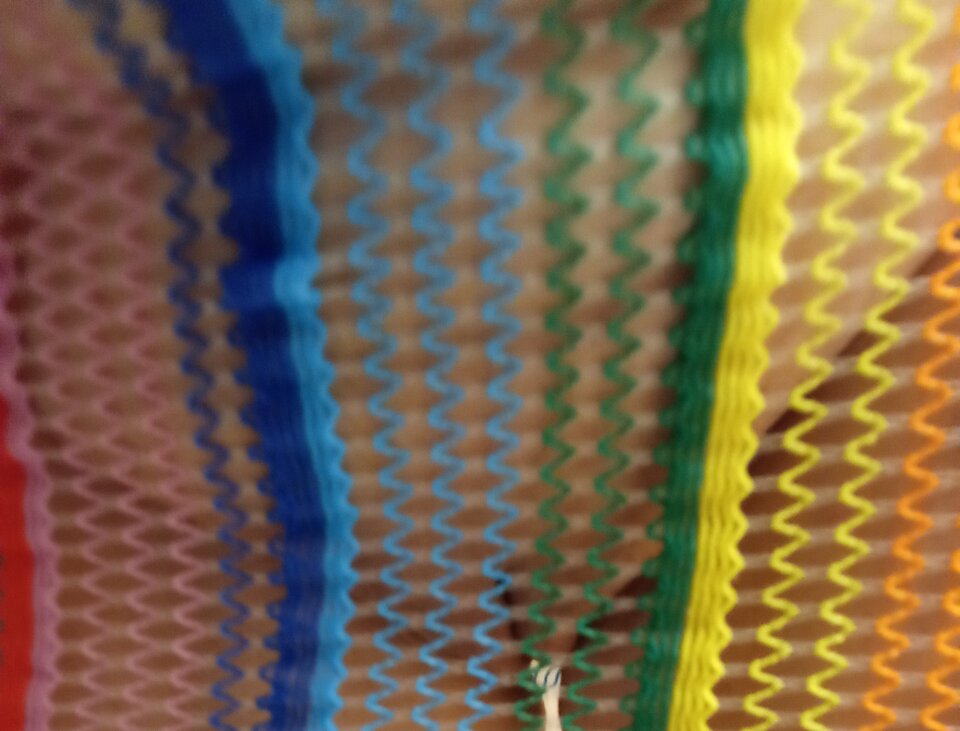 IMG_20230920_072443.jpg - olla55